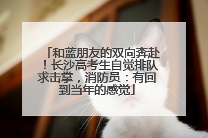 和蓝朋友的双向奔赴！长沙高考生自觉排队求击掌，消防员：有回到当年的感觉
