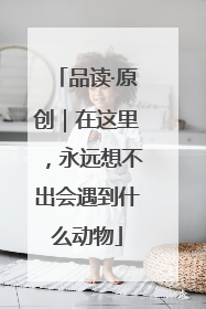 品读·原创｜在这里，永远想不出会遇到什么动物