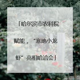 哈尔滨市农科院赋能，“寒地小龙虾”亮相哈洽会