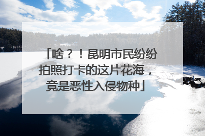 啥？！昆明市民纷纷拍照打卡的这片花海，竟是恶性入侵物种