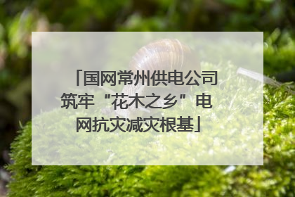 国网常州供电公司筑牢“花木之乡”电网抗灾减灾根基
