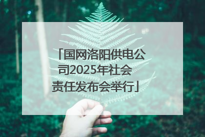 国网洛阳供电公司2025年社会责任发布会举行