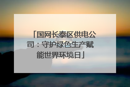 国网长泰区供电公司：守护绿色生产赋能世界环境日