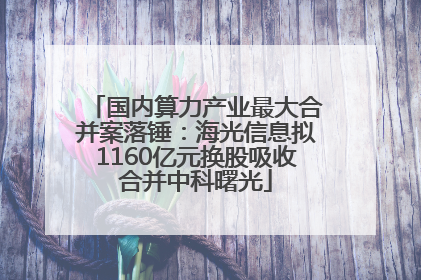国内算力产业最大合并案落锤：海光信息拟1160亿元换股吸收合并中科曙光