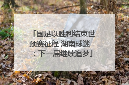 国足以胜利结束世预赛征程 湖南球迷：下一届继续追梦