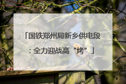 国铁郑州局新乡供电段：全力迎战高“烤”