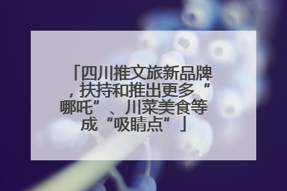 四川推文旅新品牌，扶持和推出更多“哪吒”、川菜美食等成“吸睛点”