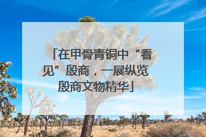 在甲骨青铜中“看见”殷商，一展纵览殷商文物精华