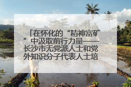 在怀化的“精神富矿”中汲取前行力量——长沙市无党派人士和党外知识分子代表人士培训班在怀化圆满举办