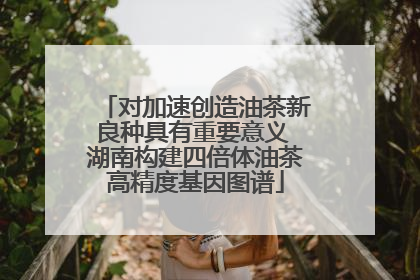 对加速创造油茶新良种具有重要意义 湖南构建四倍体油茶高精度基因图谱