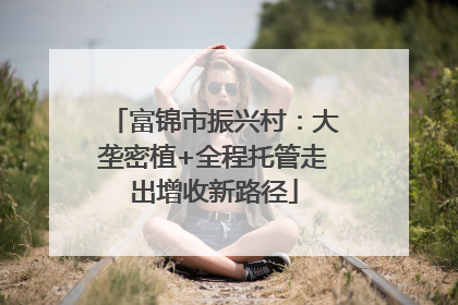 富锦市振兴村：大垄密植+全程托管走出增收新路径
