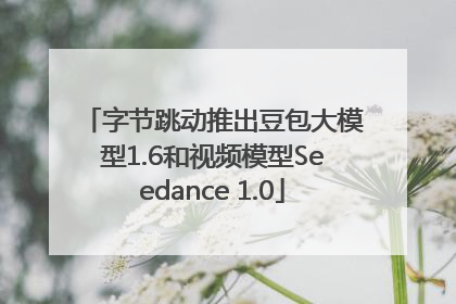 字节跳动推出豆包大模型1.6和视频模型Seedance 1.0