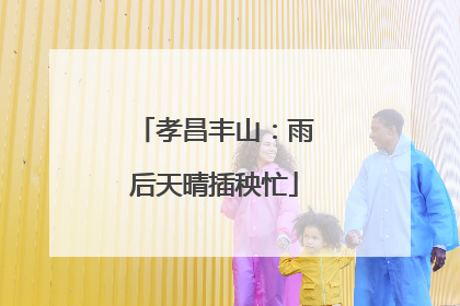 孝昌丰山：雨后天晴插秧忙