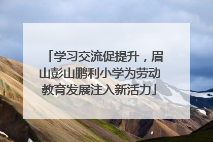 学习交流促提升，眉山彭山鹏利小学为劳动教育发展注入新活力