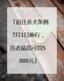 宿迁养犬条例7月1日施行，违者最高可罚5000元