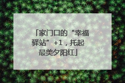 家门口的“幸福驿站”+1，托起最美夕阳红