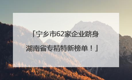 宁乡市62家企业跻身湖南省专精特新榜单！