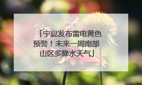 宁夏发布雷电黄色预警！未来一周南部山区多降水天气