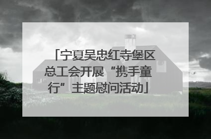 宁夏吴忠红寺堡区总工会开展“携手童行”主题慰问活动