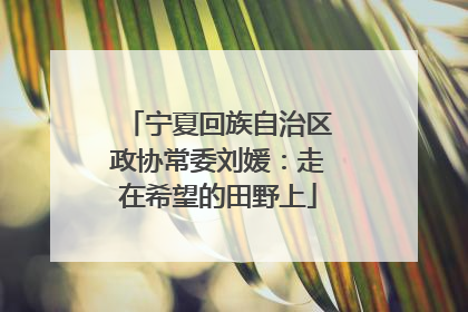 宁夏回族自治区政协常委刘媛：走在希望的田野上