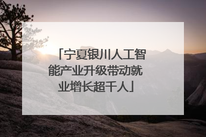 宁夏银川人工智能产业升级带动就业增长超千人