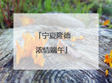 宁夏隆德 浓情端午