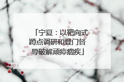 宁夏：以靶向式蹲点调研和登门督导破解顽瘴痼疾
