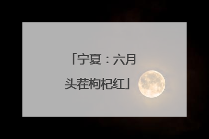 宁夏：六月头茬枸杞红