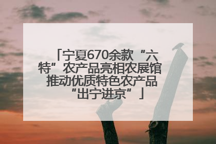 宁夏670余款“六特”农产品亮相农展馆 推动优质特色农产品“出宁进京”
