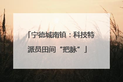 宁德城南镇：科技特派员田间“把脉”