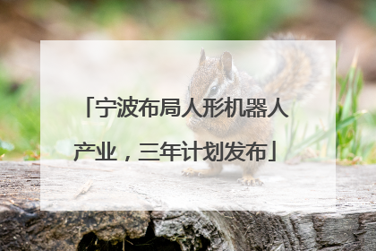 宁波布局人形机器人产业，三年计划发布