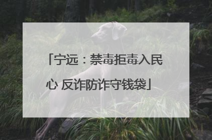 宁远：禁毒拒毒入民心 反诈防诈守钱袋