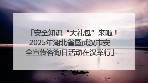 安全知识“大礼包”来啦！2025年湖北省暨武汉市安全宣传咨询日活动在汉举行