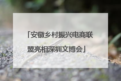 安徽乡村振兴电商联盟亮相深圳文博会