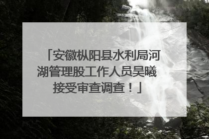 安徽枞阳县水利局河湖管理股工作人员吴曦接受审查调查！