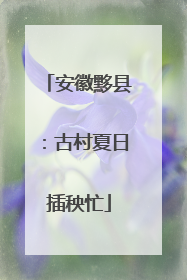 安徽黟县：古村夏日插秧忙