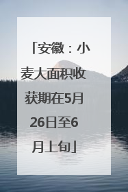 安徽：小麦大面积收获期在5月26日至6月上旬