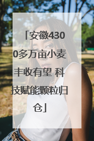 安徽4300多万亩小麦丰收有望 科技赋能颗粒归仓