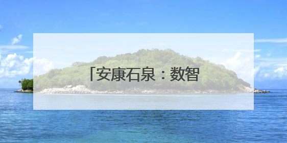 安康石泉：数智赋能兴产业 铺就振兴“新丝路”