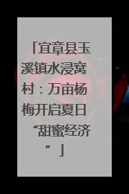 宜章县玉溪镇水浸窝村：万亩杨梅开启夏日“甜蜜经济”