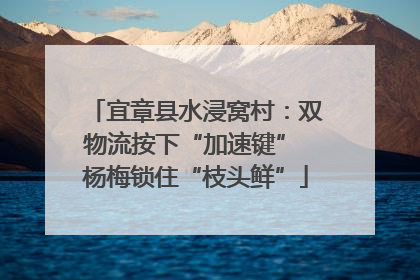 宜章县水浸窝村：双物流按下“加速键” 杨梅锁住“枝头鲜”