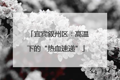 宜宾叙州区：高温下的“热血速递”