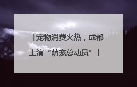 宠物消费火热，成都上演“萌宠总动员”