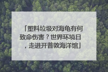 塑料垃圾对海龟有何致命伤害？世界环境日，走进开普敦海洋馆