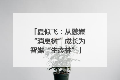 夏似飞：从融媒“消息树”成长为智媒“生态林”