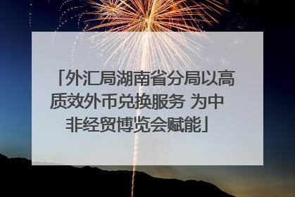 外汇局湖南省分局以高质效外币兑换服务 为中非经贸博览会赋能