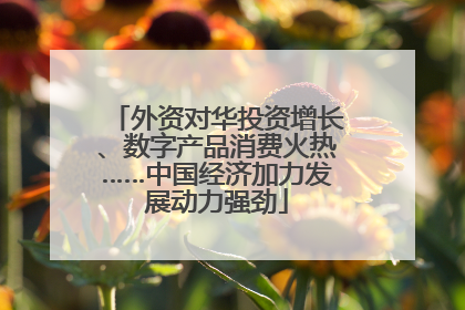 外资对华投资增长、数字产品消费火热……中国经济加力发展动力强劲