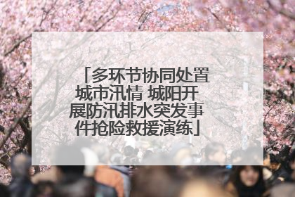 多环节协同处置城市汛情 城阳开展防汛排水突发事件抢险救援演练