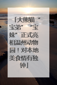 大熊猫“宝弟”“宝妹”正式亮相温州动物园！对本地美食情有独钟
