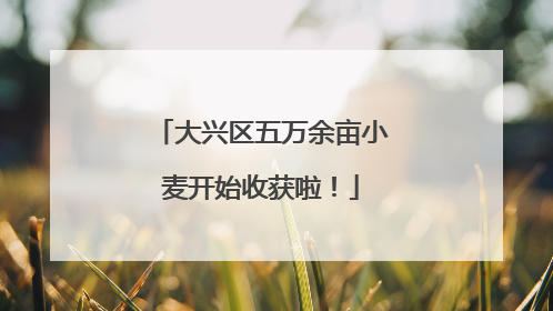大兴区五万余亩小麦开始收获啦！